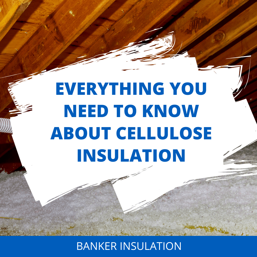 Title card showing an insulated crawl space: Everything you need to know about cellulose insulation