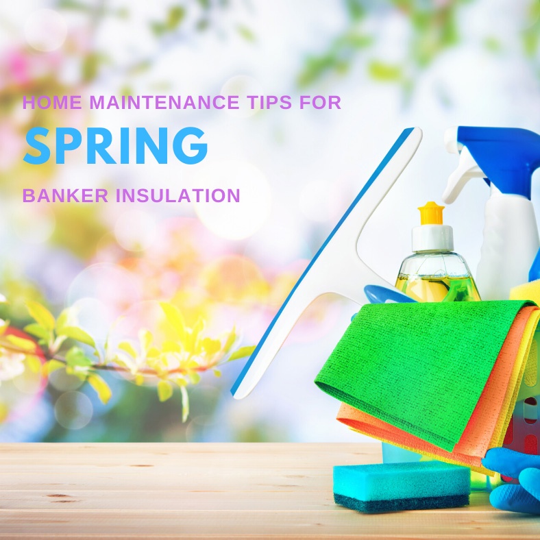 Title card featuring several cleaning products and tools: Home maintenance tips for spring.