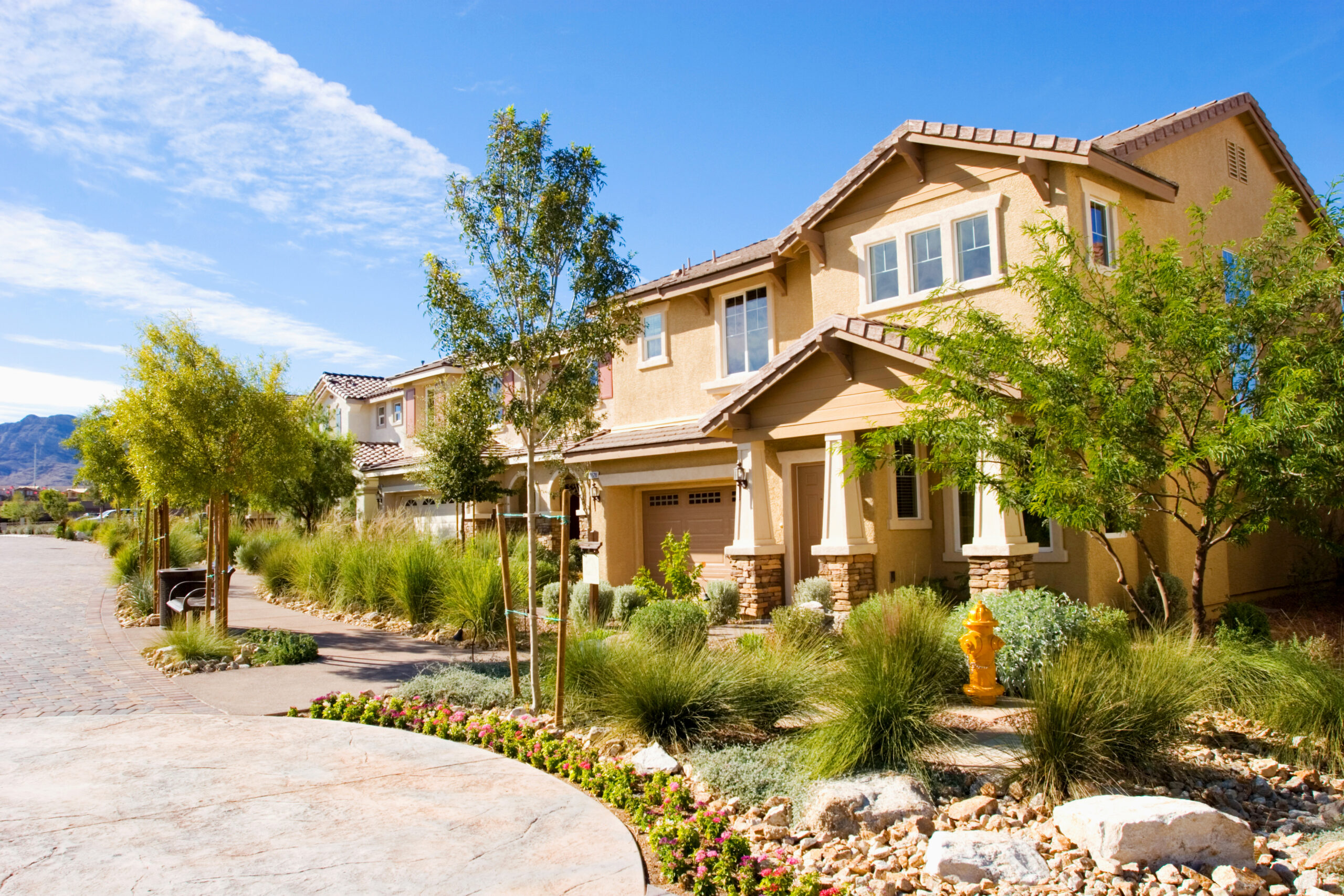 Vibrant landscaping in front of multiple two-story homes in the southwest.